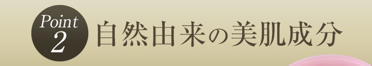 ポイント2 自然由来の美肌成分