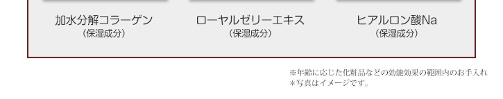 加水分解コラーゲンローヤルゼリーエキス　ヒアルロン酸Na