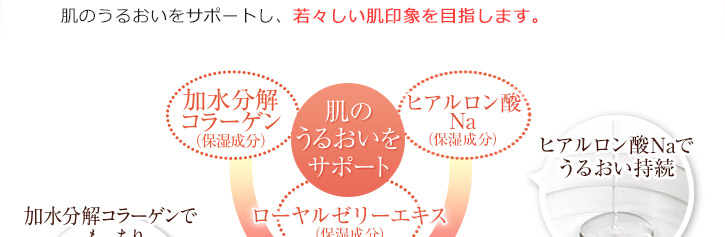 加水分解コラーゲン（保湿成分）　ヒアルロン酸Na（保湿成分）　ローヤルゼリーエキス（保湿成分）　肌のうるおいをサポート