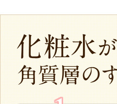 化粧水が美肌成分を