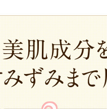 角質層のすみずみまで届ける