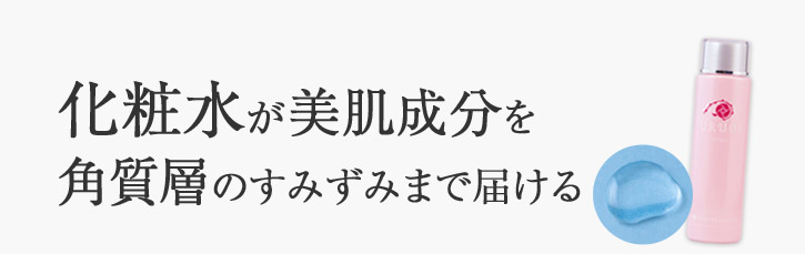 まず美容液でうるおいと美肌成分を届ける