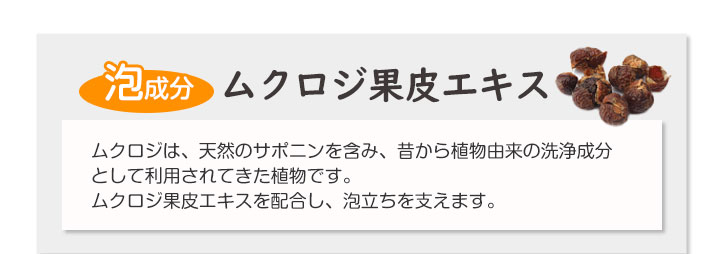 ムクロジ果皮エキス
