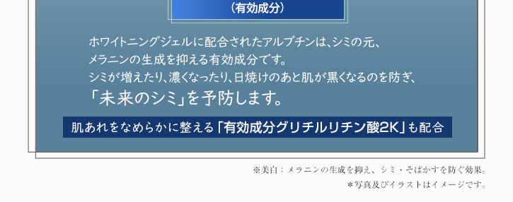 ホワイトニングジェルに配合されたアルブチンはシミの元、メラニンの生成を抑える有効成分です。肌あれをなめらかに整える有効成分グリチルリチン酸2Kも配合