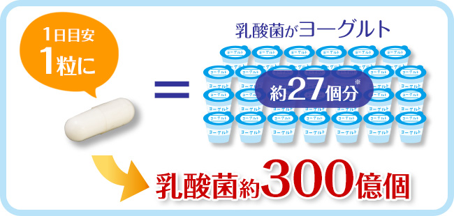 1粒にヨーグルト約27個分の乳酸菌