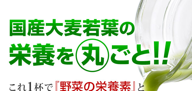 国産大麦若葉の栄養を丸ごと！