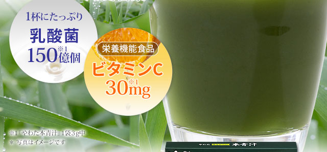 やわた　本青汁(30袋入×3箱)