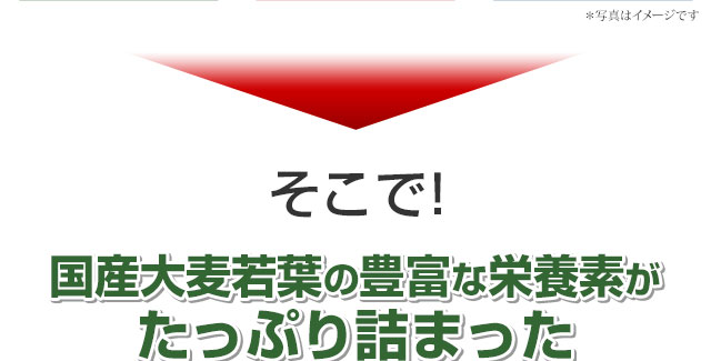 国産大麦若葉の豊富な栄養素がたっぷり詰まった「やわた本青汁」はいかがですか？