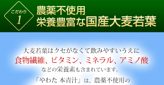 農薬不使用　栄養豊富な国産大麦若葉