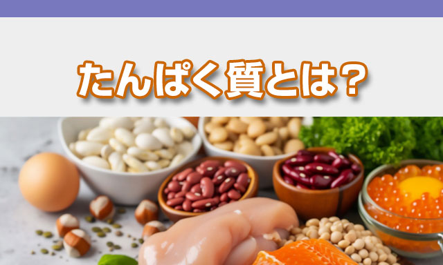 たんぱく質＝プロテイン　たんぱく質は、肉類・魚類・卵類・乳類などに含まれる動物性たんぱく質と、豆類・穀類などに含まれる植物性たんぱく質があり、私たちの身体の元になる重要な栄養素です。