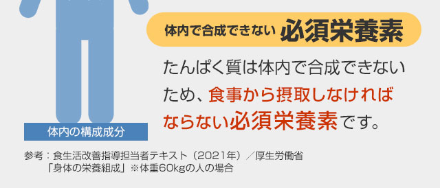 たんぱく質は体内で合成できなため、食事から摂取しなければならない必須栄養素です。