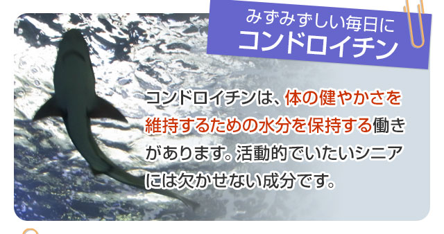 みずみずしい毎日に「コンドロイチン」