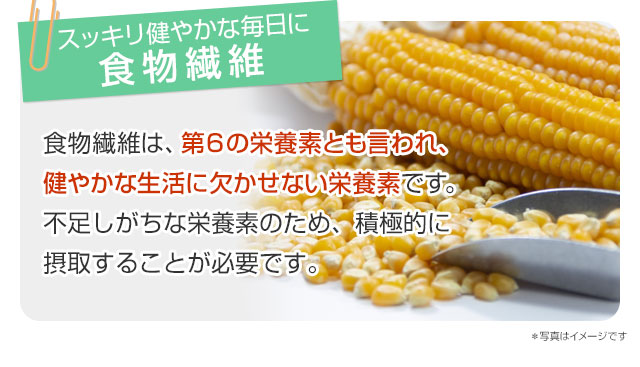 スッキリ健やかな毎日に「食物繊維」