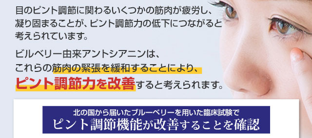 目のピント調節に関わるいくつかの筋肉が疲労し、ピント調節力の低下につながると考えられています。