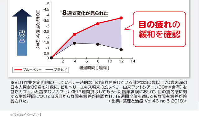 ピント調節力の低下は眼疲労の一因となっており、目を酷使することで、ピント調節力が低下すると考えられています。