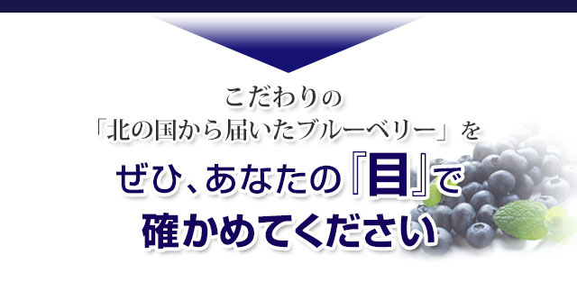 ぜひ、あなたの目で確かめてください。