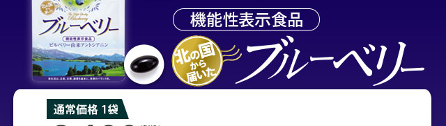 機能性表示食品　北の国から届いたブルーベリー