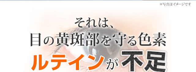 目の黄斑部を守る色素「ルテイン」が不足しているからかも