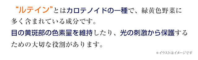 ルテインとはカロテノイドの一種で、緑黄色野菜に多くふくまれている成分です。