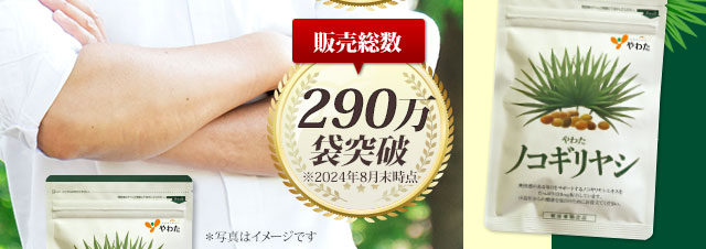 大自然の恵み　ノコギリヤシエキス100％