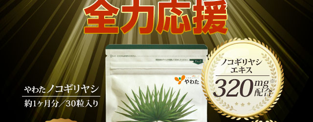 ノコギリヤシパワーで中高年の爽快感を全力応援