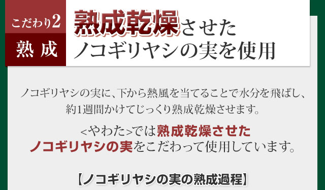 熟成乾燥させたノコギリヤシの実