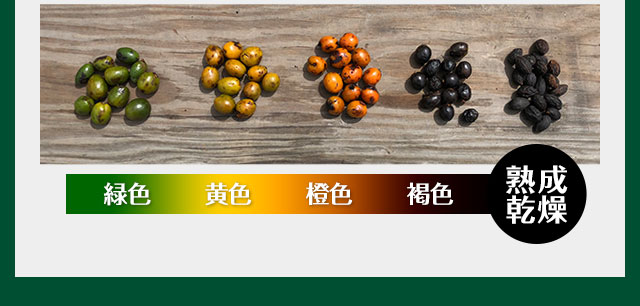 約1週間かけてじっくり熟成乾燥させます。