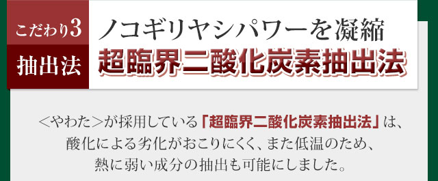 超臨界二酸化炭素抽出法で、ノコギリヤシパワーを凝縮！