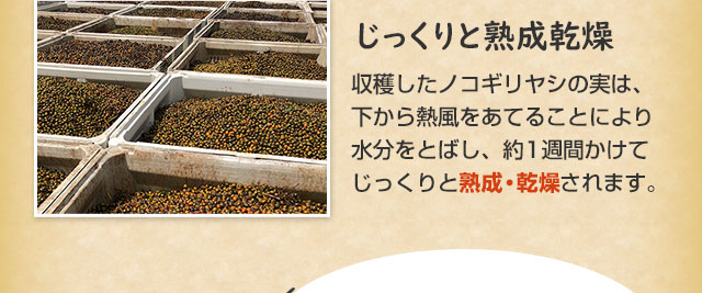 じっくりと熟成乾燥