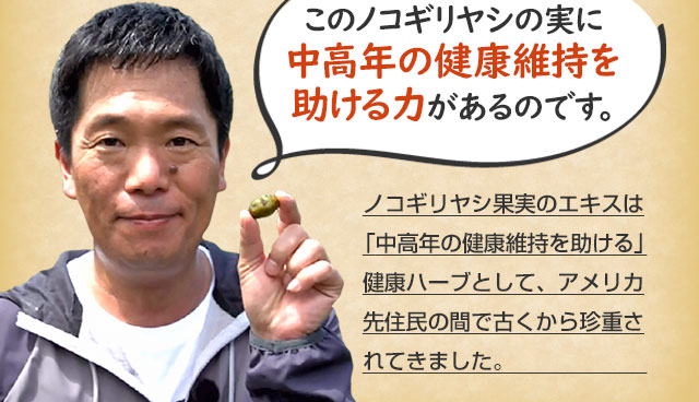 「中高年の健康維持を助ける」健康ハーブとして、アメリカ先住民の間で古くから珍重されてきました。