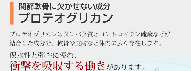 関節軟骨に欠かせない成分「プロテオグリカン」　プロテオグリカンはタンパク質とコンドロイチン硫酸などが結合した成分で、軟骨や皮膚など体内に広く存在します。保水性と弾性に優れ、衝撃を吸収する働きがあります。