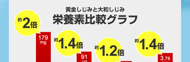 黄金しじみと大和しじみの栄養素比較グラフ