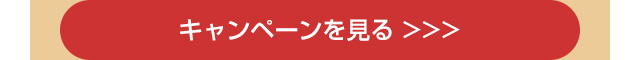 キャンペーンを見る