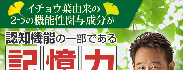 イチョウ葉由来の2つの機能性関与成分が認知機能の一部である記憶力