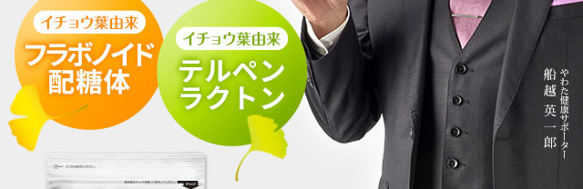 イチョウ葉由来フラボノイド配糖体 イチョウ葉由来テルペンラクトン