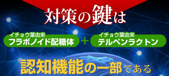 対策の鍵は「イチョウ葉由来フラボノイド配糖体」+「イチョウ葉由来テルペンラクトン」