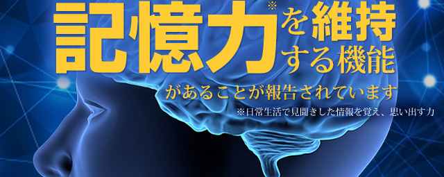 認知機能の一部である記憶力を維持する機能があることが報告されています。 ※日常生活で見聞きした情報を覚え、思い出す力