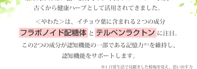 ＜やわた＞は、イチョウ葉に含まれる2つの成分フラボノイド配糖体とテルペンラクトンに注目。この2つの成分が認知機能の一部である記憶力を維持し、認知機能をサポートします。 ※日常生活で見聞きした情報を覚え、思い出す力
