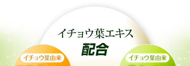 イチョウ葉エキス配合