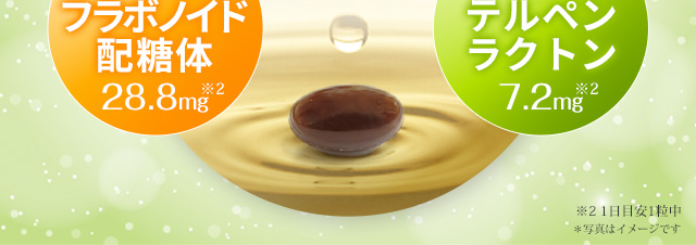 イチョウ葉由来フラボノイド配糖体28.8mg イチョウ葉由来テルペンラクトン7.2mg 1日目安1粒中