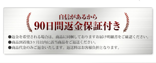 90日間返金保証付き