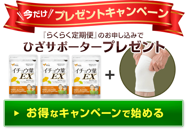 サポータープレゼント