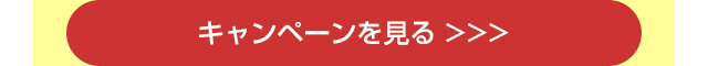 キャンペーンを見る