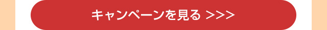 キャンペーンを見る