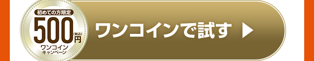ワンコインで試す