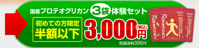 今すぐ購入する