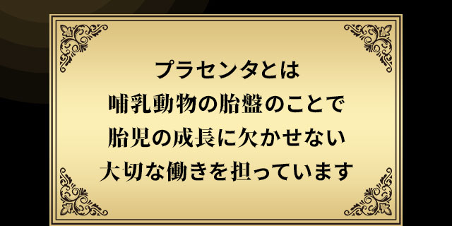 プラセンタとは哺乳動物の胎盤のことで胎児の成長に欠かせない大切な働きを担っています