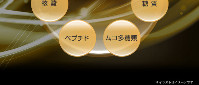 各種ビタミン、各種アミノ酸、核酸、たんぱく質、ペプチド、糖質、ムコ多糖類