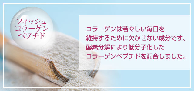 LAMI PEEL 10回分(新品未開封) 一筆箋｜紙シリーズ｜一筆箋 箔 藤柄(89586006)｜ミドリ