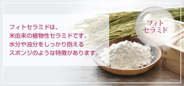 「フィトセラミド」米由来の植物性セラミドで、水分や油分をしっかり抱えるスポンジのような特徴があります。